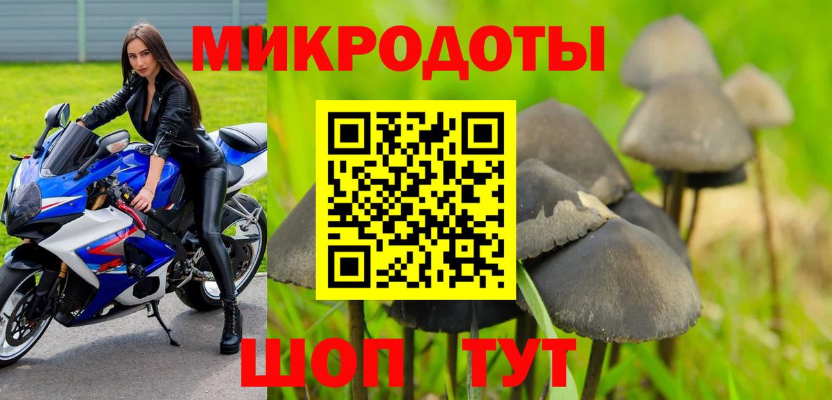 Гусев  Псилоцибиновые грибы ЛСД  Вход с VPN 